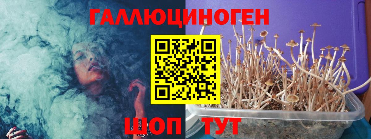 Псилоцибиновые грибы ЛСД  Вход с VPN  Псилоцибиновые грибы мицелий  Гулькевичи 